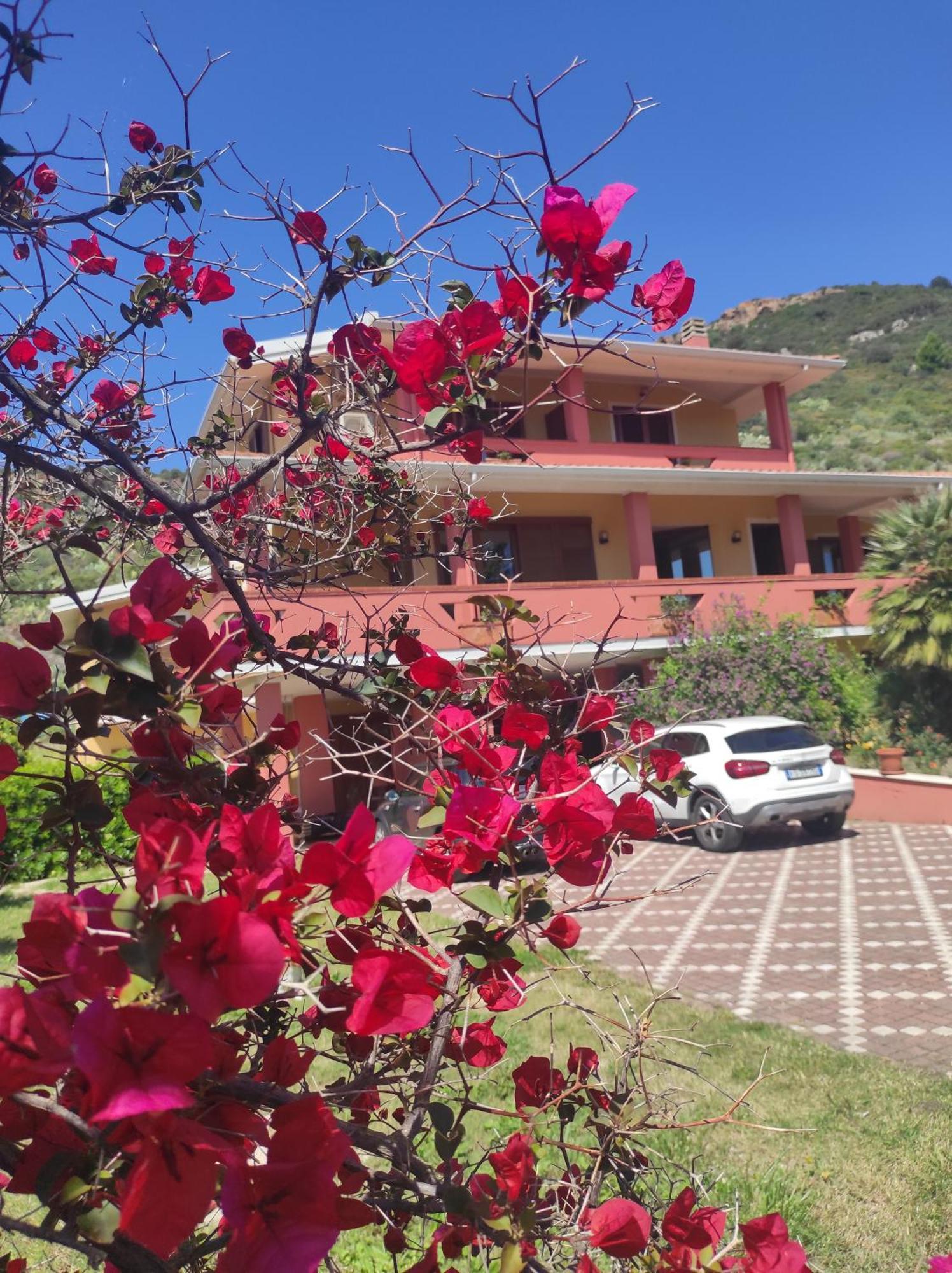 Le Pavoncelle Otel Bosa Dış mekan fotoğraf